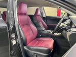 LEXUS NX300
