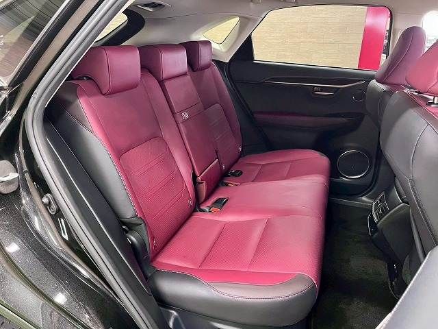 LEXUS NX300