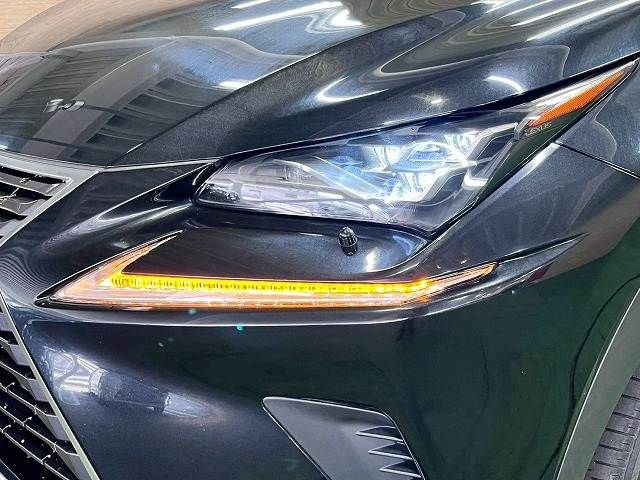 LEXUS NX300