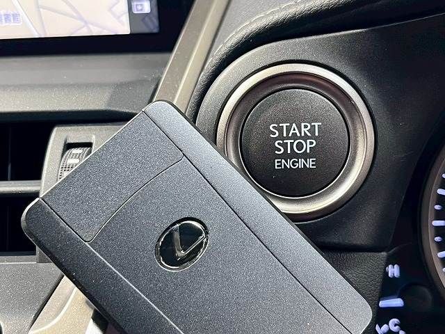 LEXUS NX300