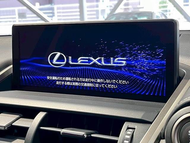 LEXUS NX300