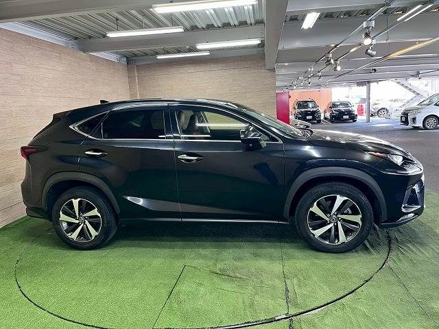 LEXUS NX300