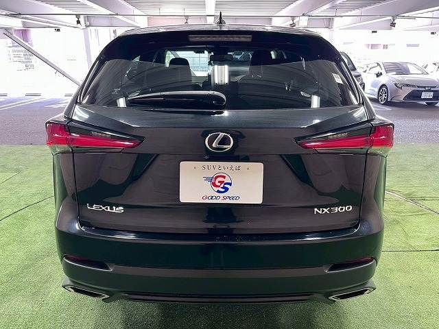 LEXUS NX300