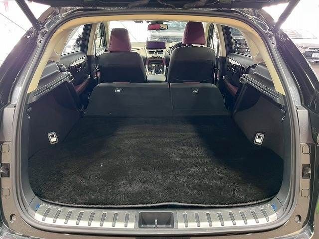 LEXUS NX300