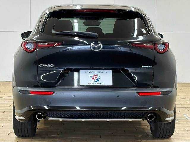 CX-30