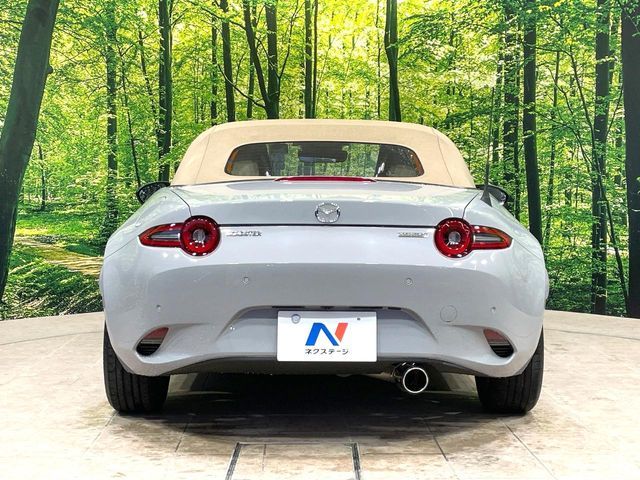 ROADSTER