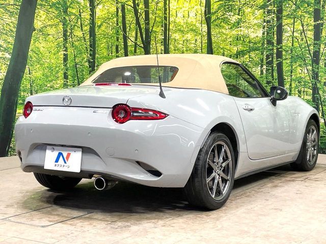 ROADSTER