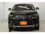 LEXUS NX300h