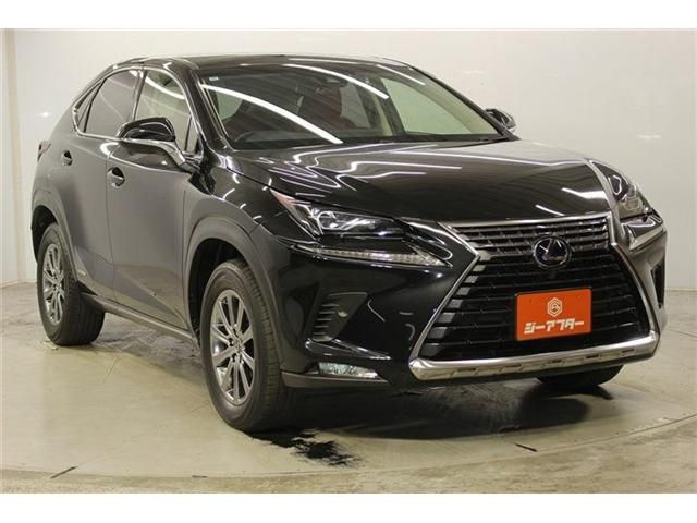 LEXUS NX300h