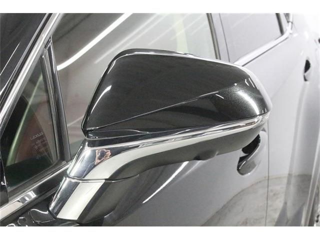 LEXUS NX300h