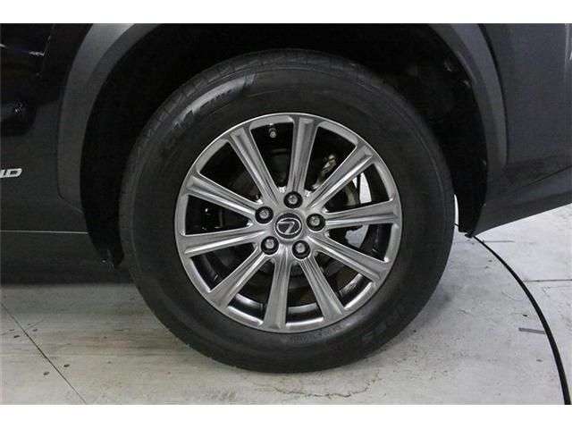 LEXUS NX300h