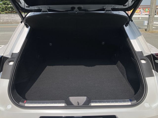 CROWN SPORT