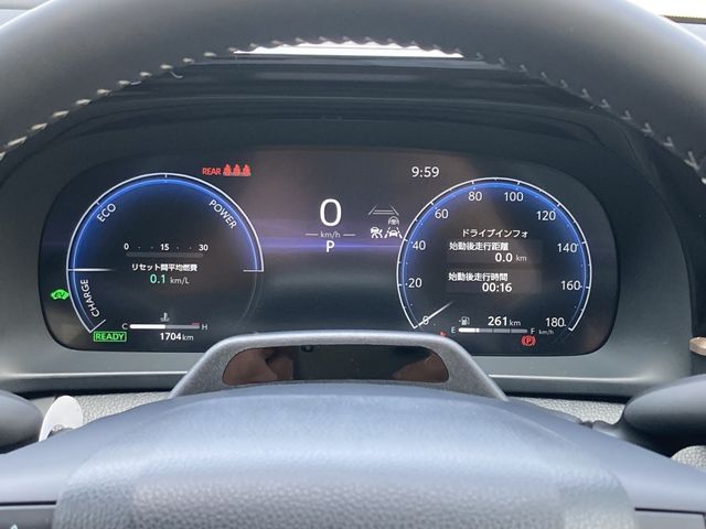 CROWN SPORT