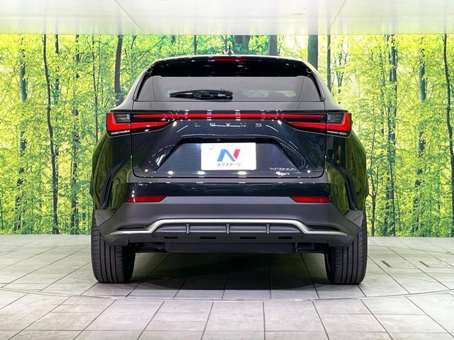 LEXUS NX350h AWD