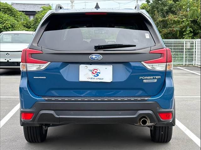 FORESTER