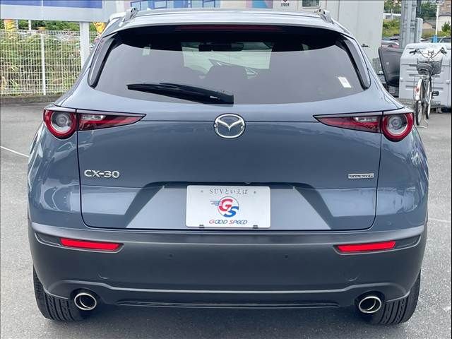 CX-30