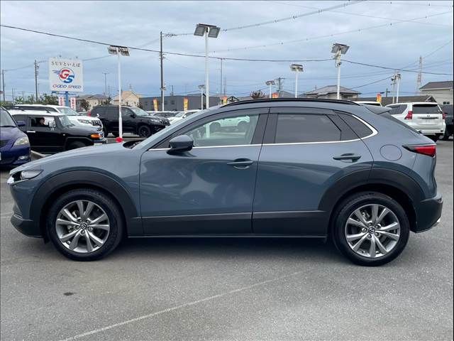 CX-30