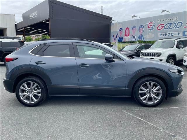 CX-30