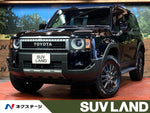 LANDCRUISER 250