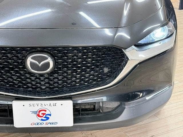 CX-30