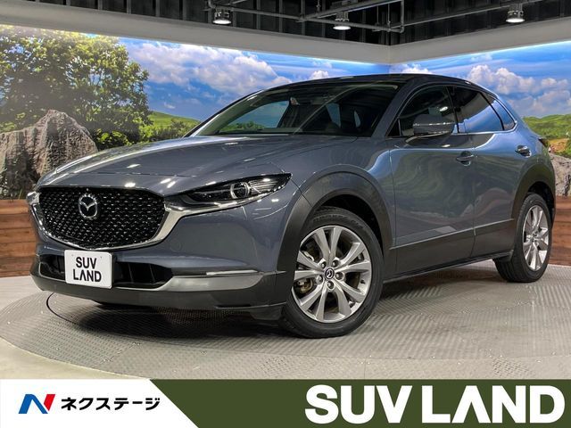 CX-30