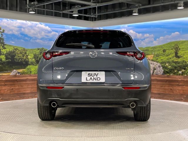CX-30