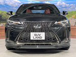 LEXUS UX200