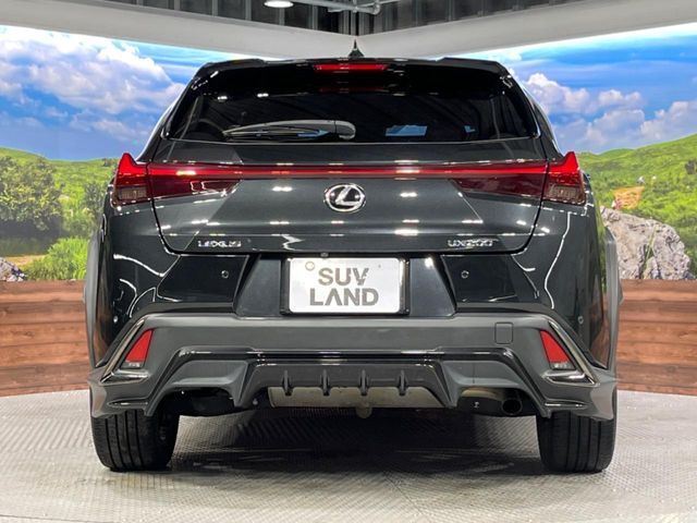 LEXUS UX200