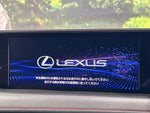 LEXUS UX250h