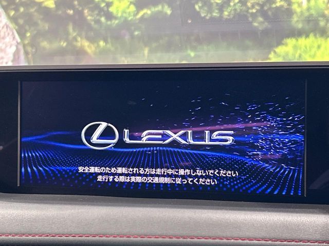 LEXUS UX250h