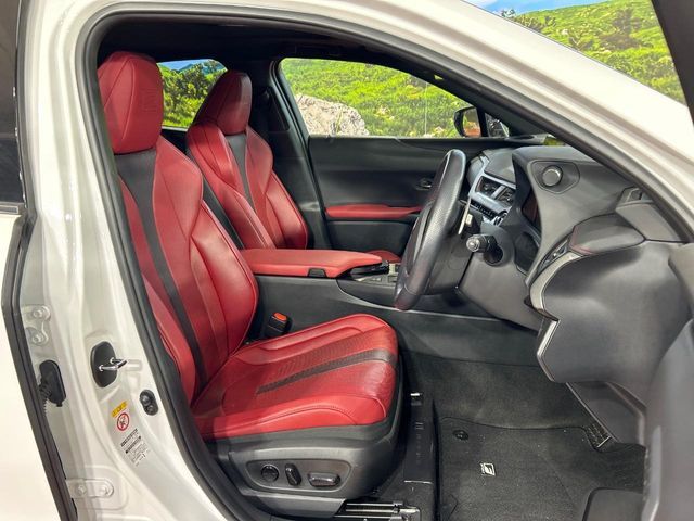 LEXUS UX250h