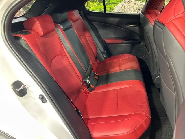 LEXUS UX250h