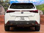 LEXUS UX250h