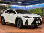 LEXUS UX250h