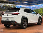 LEXUS UX250h