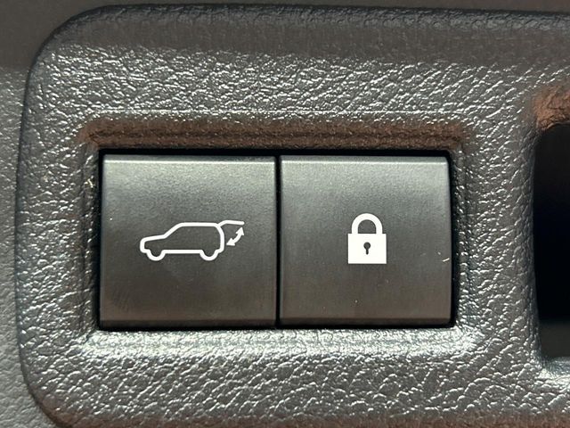 LEXUS NX300h