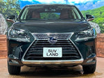 LEXUS NX300h