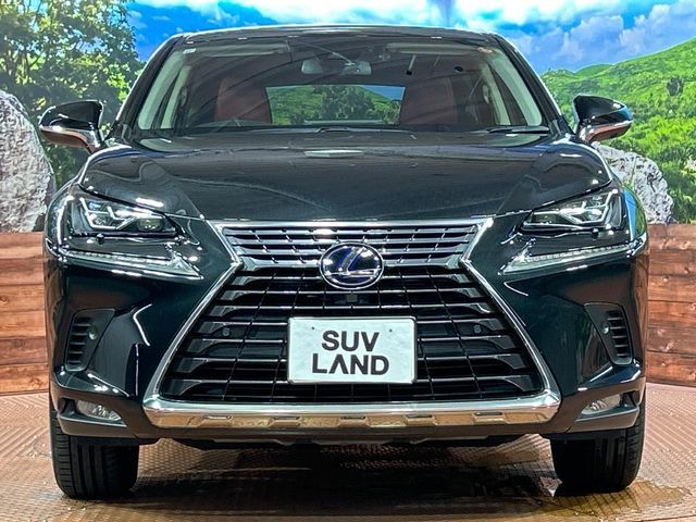 LEXUS NX300h