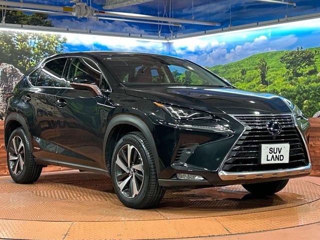 LEXUS NX300h