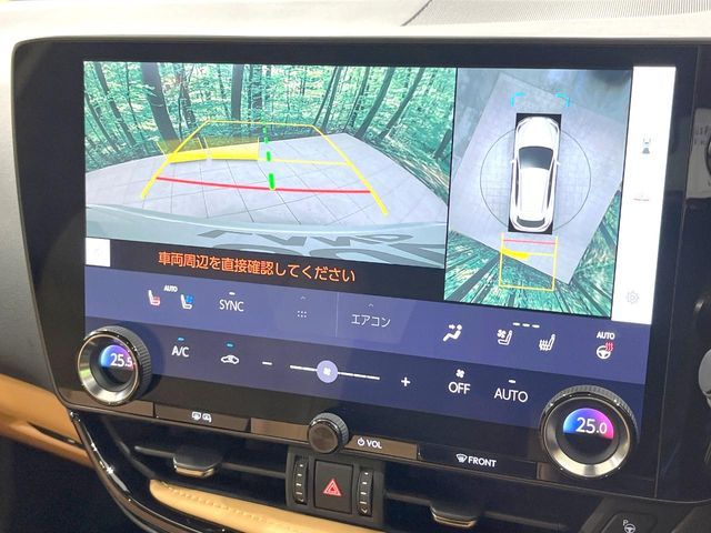 LEXUS NX350h