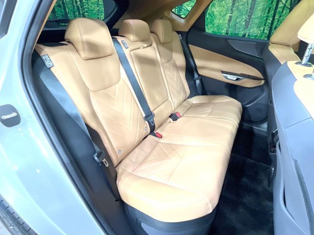LEXUS NX350h