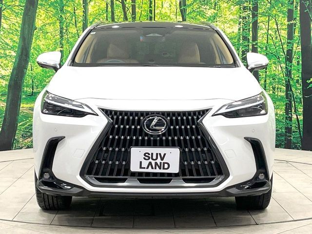 LEXUS NX350h