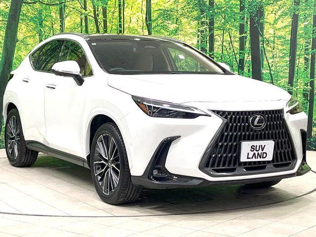 LEXUS NX350h
