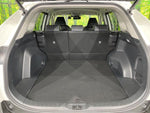 RAV4 HYBRID 4WD