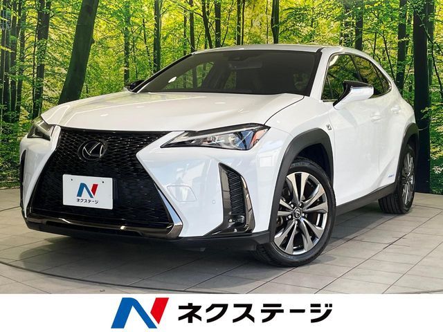 LEXUS UX250h