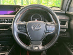 LEXUS UX250h