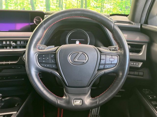 LEXUS UX250h