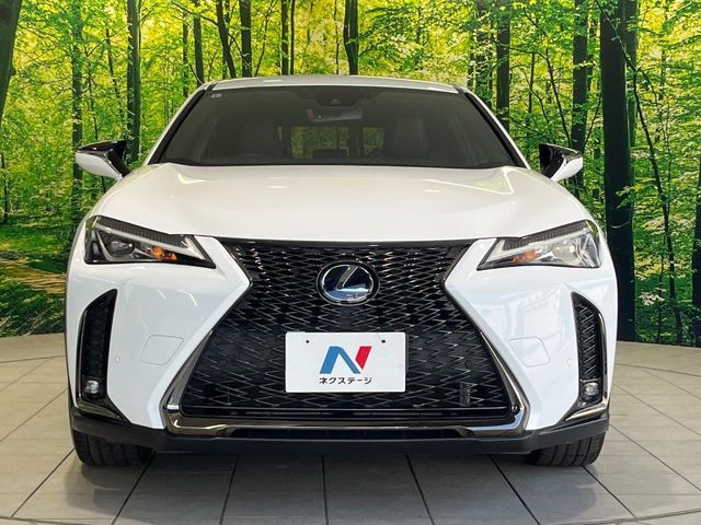 LEXUS UX250h