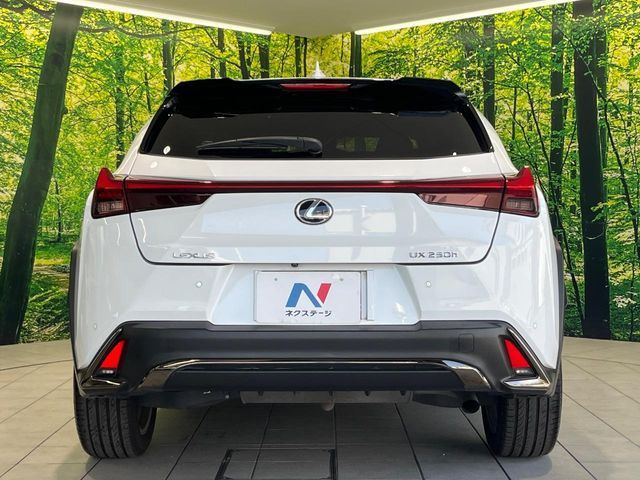 LEXUS UX250h