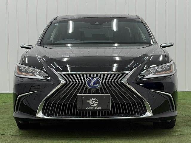 LEXUS ES300h